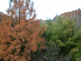 20061210-4.jpg