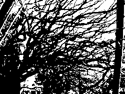 20070225-03.jpg