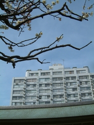 20070225-04.jpg