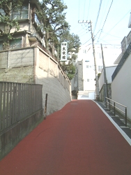 20070225-08.jpg