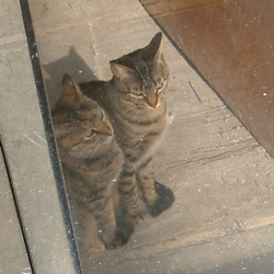 20070225-13.jpg