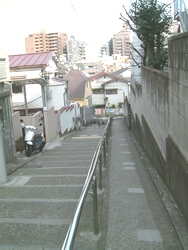 20070225-14.jpg