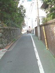 20070225-16.jpg