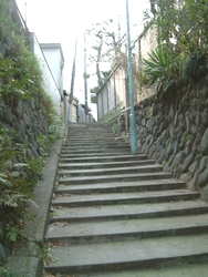 20070225-17.jpg