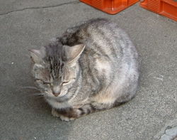 20070225-20.jpg