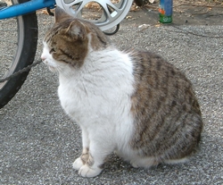 20070225-21.jpg