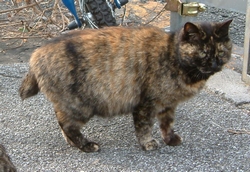 20070225-22.jpg