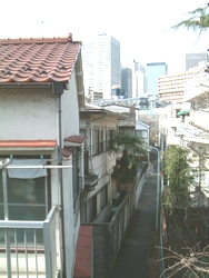 20070310-03.jpg