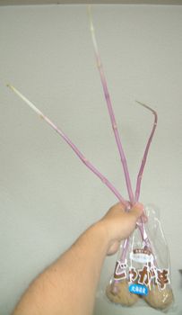 20070430-2.jpg