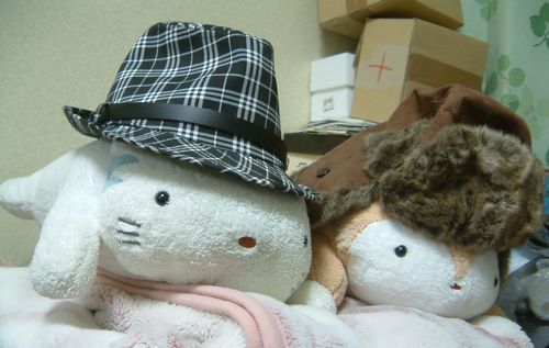 20080628-2.jpg
