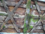 20100424-1.jpg